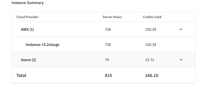 The 'Instance Summary' section of the 'Usage Summary' fly-out menu.