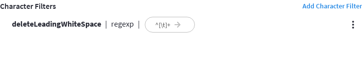 The 'Custom Filters > Character Filters' panel showing the newly created custom filter.
