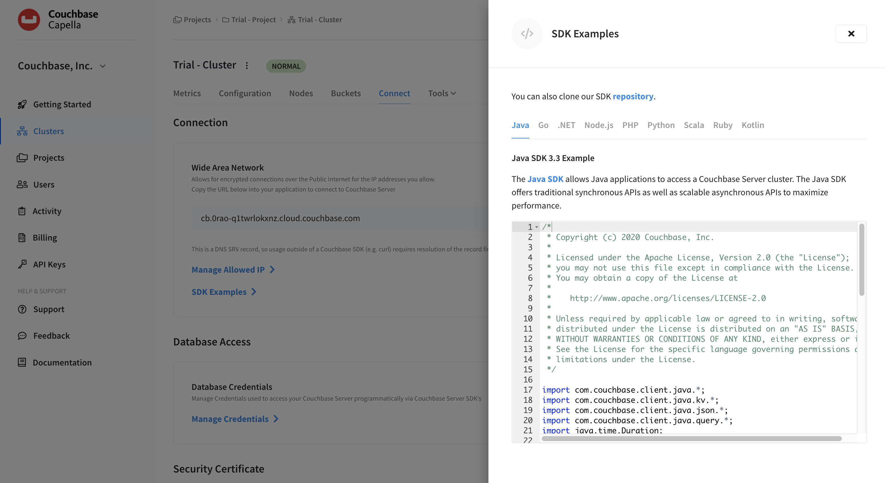 The 'SDK Examples' fly-out menu open to the Java SDK example.