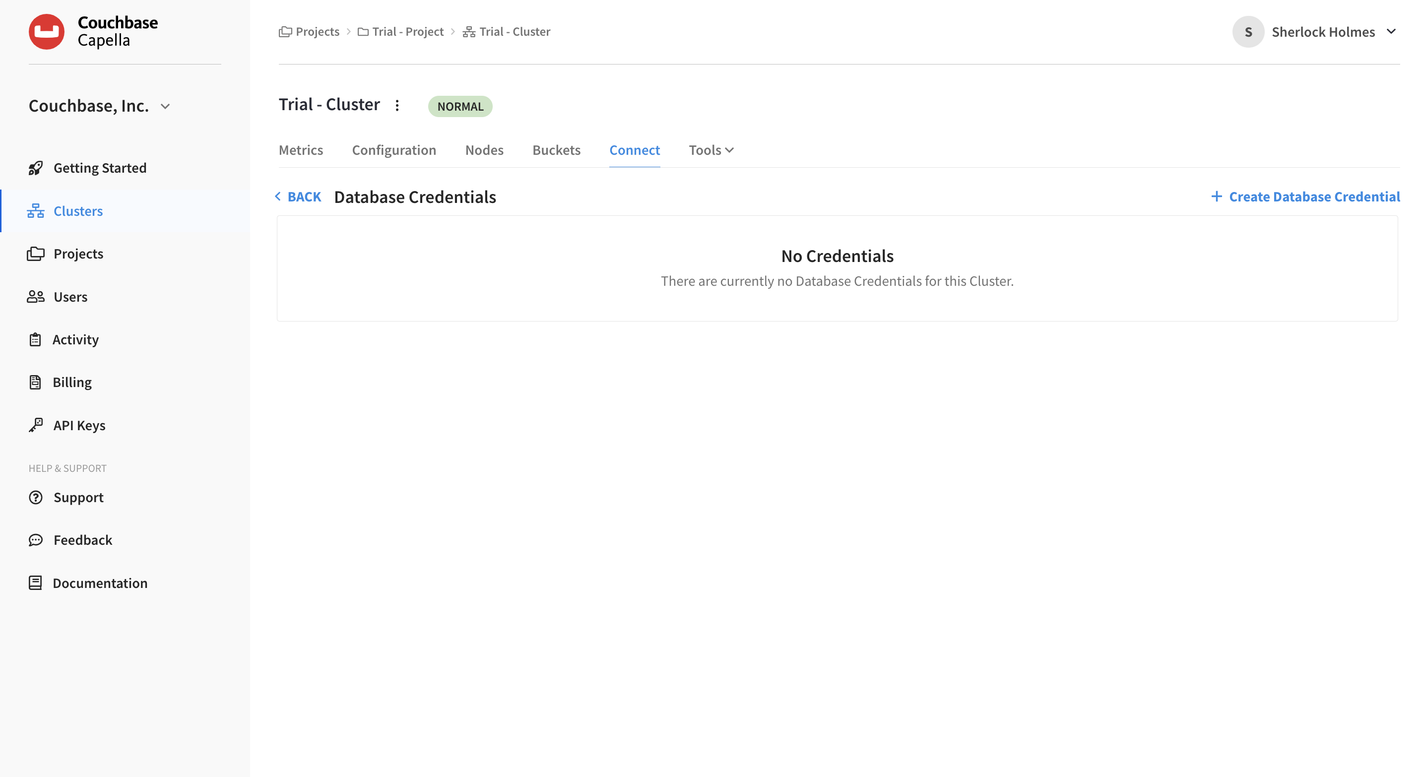"The 'Database Credentials' screen with no existing credentials.